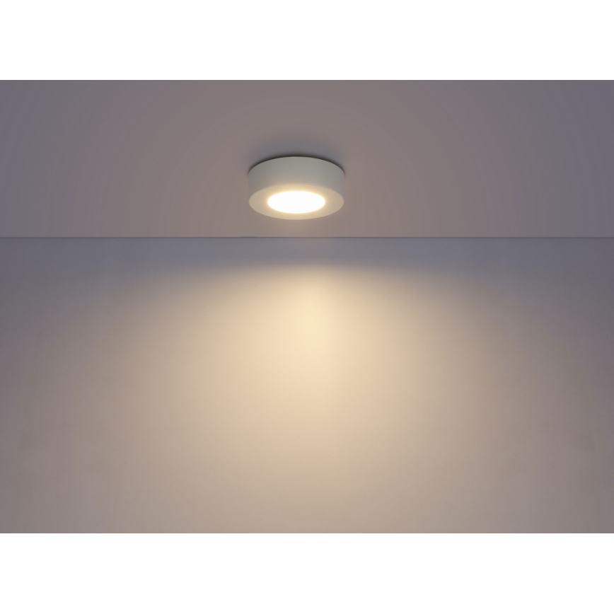 GLOBO 41605-9D - LED dimmbare Badezimmer Deckenleuchte PAULA 1xLED/9W/230V IP44