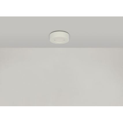 Globo - Dimmbare LED-Leuchte für Badezimmer LED/9W/230V 3000/4000/6000K IP44