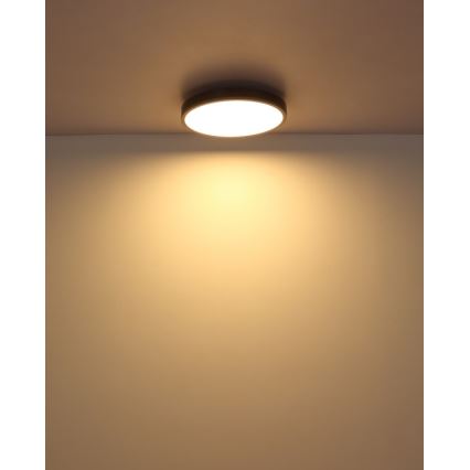 Globo - LED-Deckenleuchte LED/24W/230V 3000K d 45 cm
