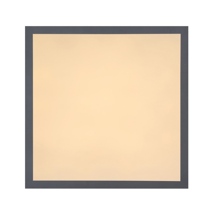 Globo - LED-Deckenleuchte LED/12W + LED/4W/230V