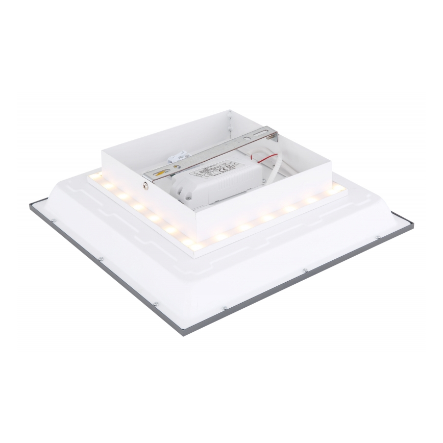 Globo - LED-Deckenleuchte LED/12W + LED/4W/230V