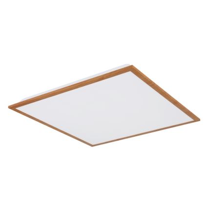 Globo - LED-Deckenleuchte LED/24W/230V