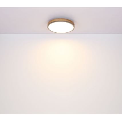 Globo - LED-Deckenleuchte /12W/230V d. 30 cm