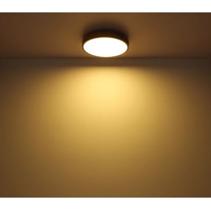 Globo - Dimmbare LED-Deckenleuchte LED/40W/230V 2700-6500K d 60 cm + Fernbedienung braun/grau