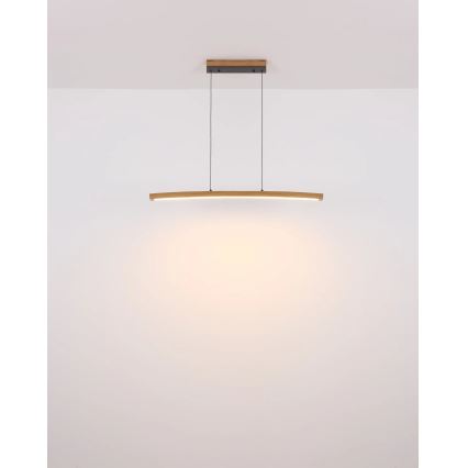 Globo - LED dimmbare Touch-Pendelleuchte an Kabel LED/18W/230V 3000K