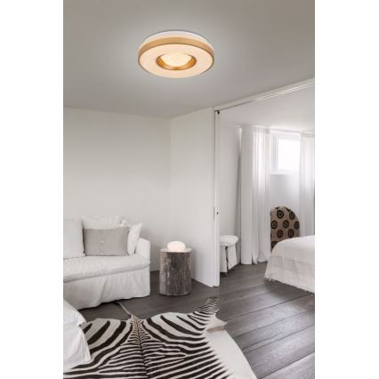 Globo - LED-Deckenleuchte LED/24W/230V