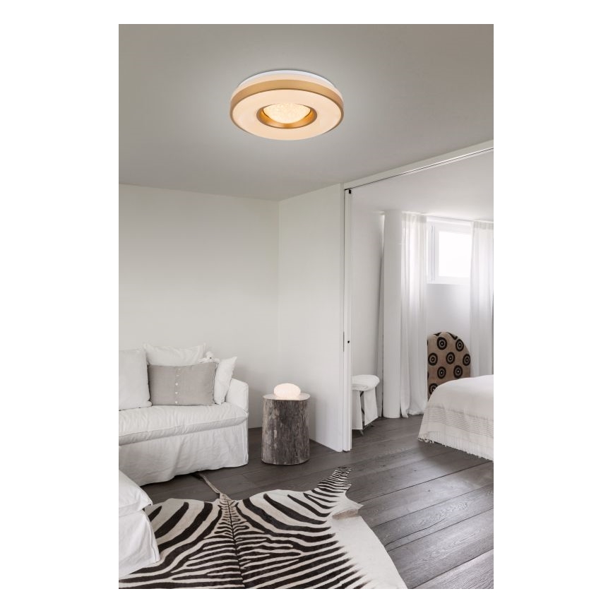 Globo - LED-Deckenleuchte LED/24W/230V