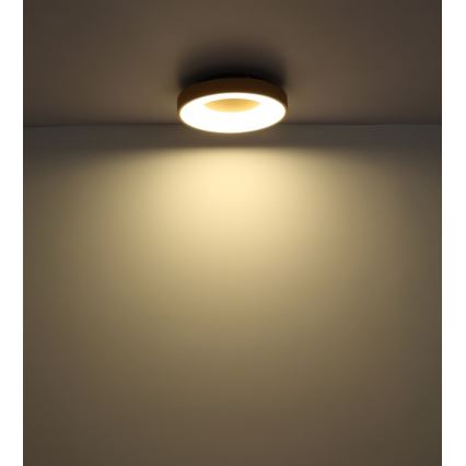 Globo - Dimmbare LED-Deckenleuchte LED/30W/230V + Fernbedienung
