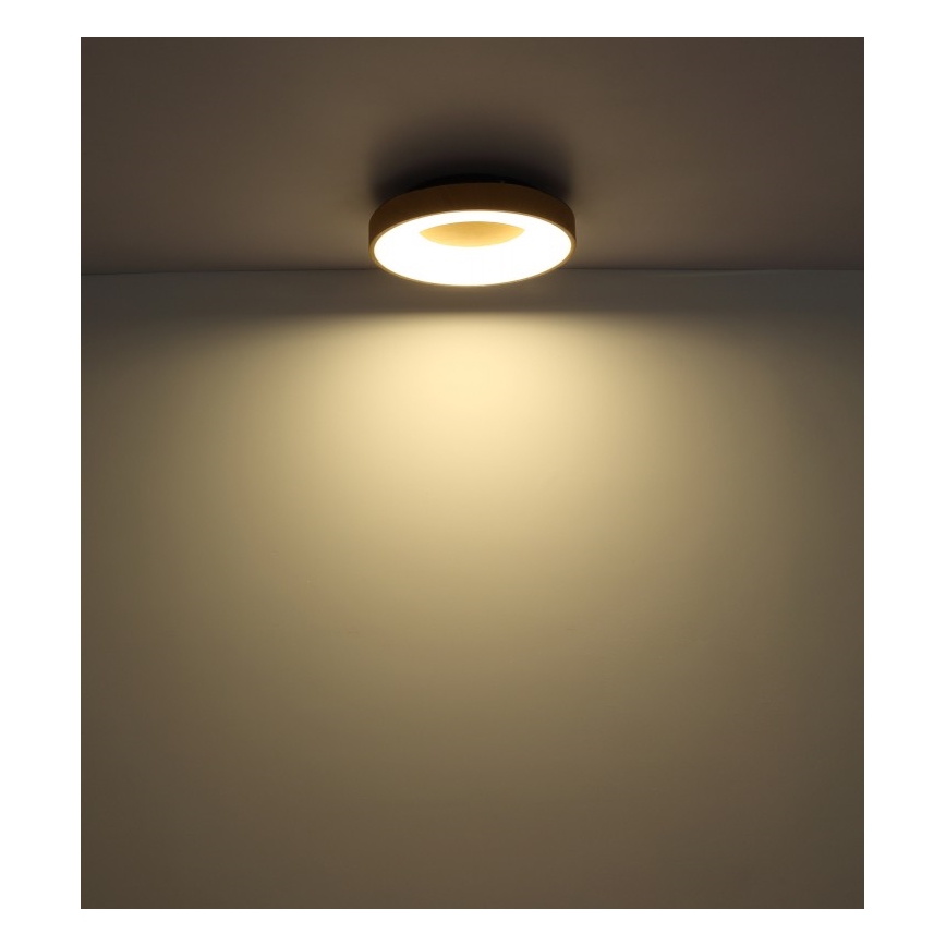 Globo - Dimmbare LED-Deckenleuchte LED/30W/230V + Fernbedienung