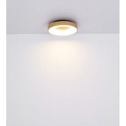 Globo - Dimmbare LED-Deckenleuchte LED/30W/230V + Fernbedienung