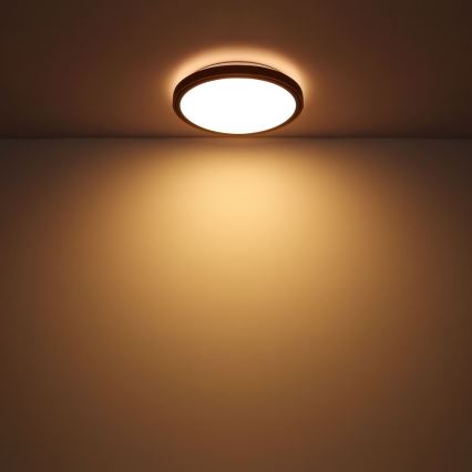 Globo - LED Deckenleuchte LED/12W/230V 307 mm 3000/4500/6000K