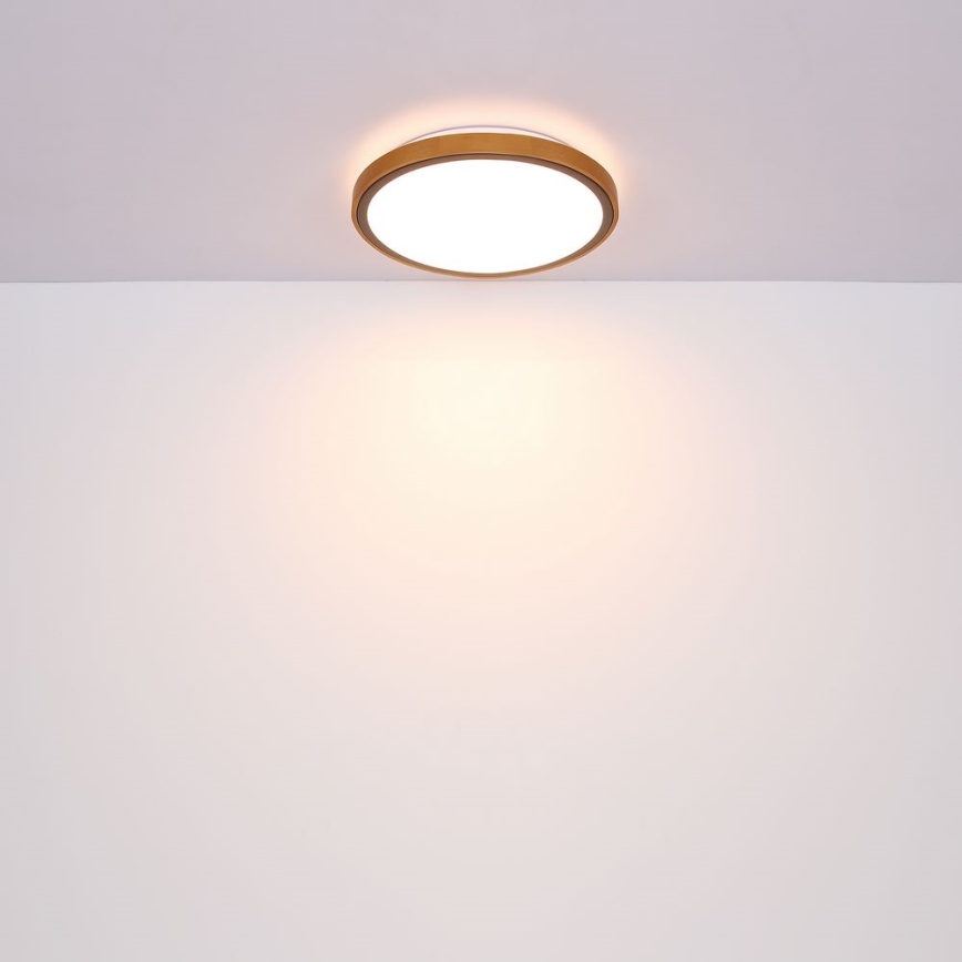 Globo - LED Deckenleuchte LED/12W/230V 307 mm 3000/4500/6000K