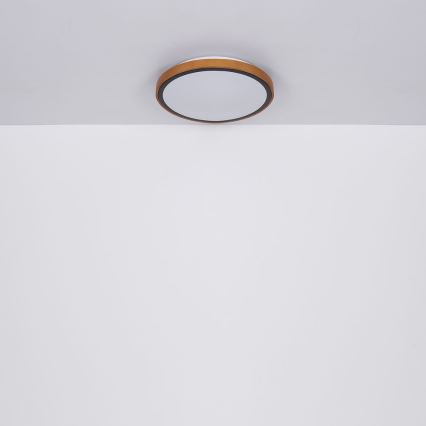 Globo - LED Deckenleuchte LED/12W/230V 307 mm 3000/4500/6000K