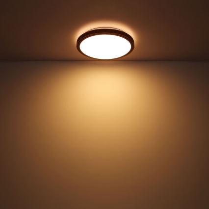 Globo - LED Ceiling light LED/24W/230V 437mm 3000/4500/6000K