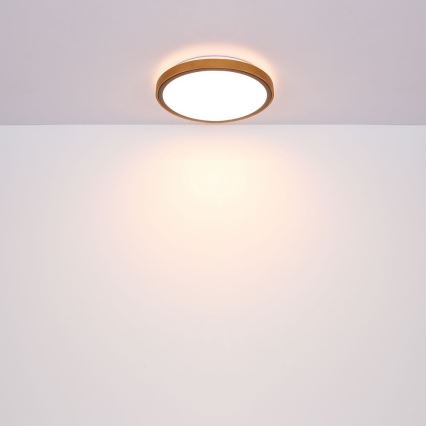 Globo - LED Ceiling light LED/24W/230V 437mm 3000/4500/6000K