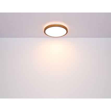 Globo - LED-Deckenleuchte LED/12W/230V 3000/4500/6000K d 30 cm