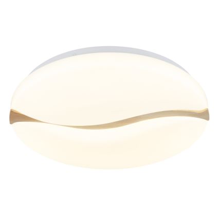 Globo - LED-Deckenleuchte LED/24W/230V 3000/4200/6000K d 39 cm