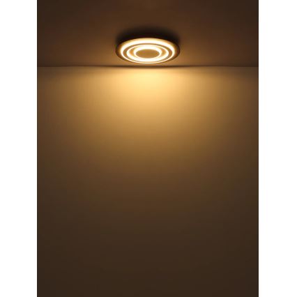 Globo - LED-Deckenleuchte LED/24W/230V 3000K d 32 cm anthrazit
