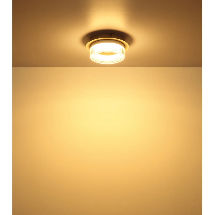 Globo - LED-Deckenleuchte, 8W, 230V, 3000K, Ø 16 cm