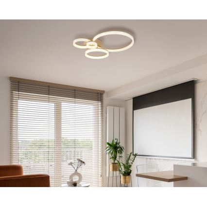 Globo - LED-Deckenleuchte LED/40W/230V 3000K 64,5x75 cm