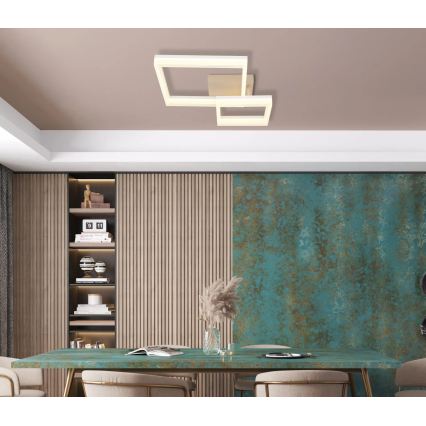 Globo - LED-Deckenleuchte LED/24W/230V 3000K 46,5x62,5 cm