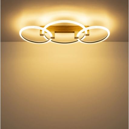 Globo - LED-Deckenleuchte LED/40W/230V 3000K 76,1x38 cm braun