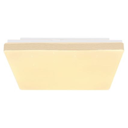 Globo - LED-Deckenleuchte LED/12W/230V