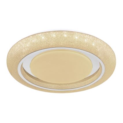 Globo 483111-40 - LED-Deckenleuchte RADA LED/40W/230V 2700/4200/6500K d 49 cm