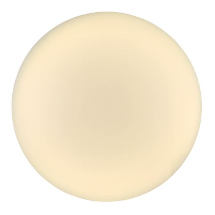 Globo - LED Deckenleuchte LED/24W/230V