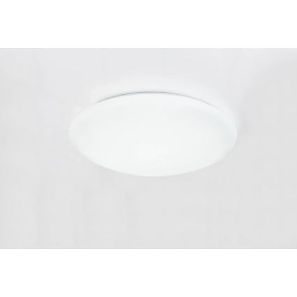 Globo - dimmbare RGB-LED-Deckenleuchte LED/48W/230V + LED/10W 2700–6500K Ø 50 cm + Fernbedienung