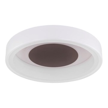 Globo 48398-24 - LED-Deckenleuchte GOFFI LED/30W/230V