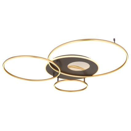Globo - LED dimmbare Deckenleuchte LED/70W/230V 2700-6500K goldfarben inkl. Fernbedienung