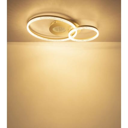 Globo - LED-Deckenleuchte LED/30W/230V 3000K 70x50 cm beige