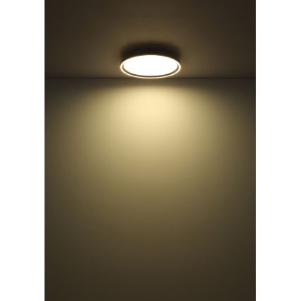 Globo - Dimmbare LED-Deckenleuchte LED/48W/230V 2700-6000K + Fernbedienung d 50 cm