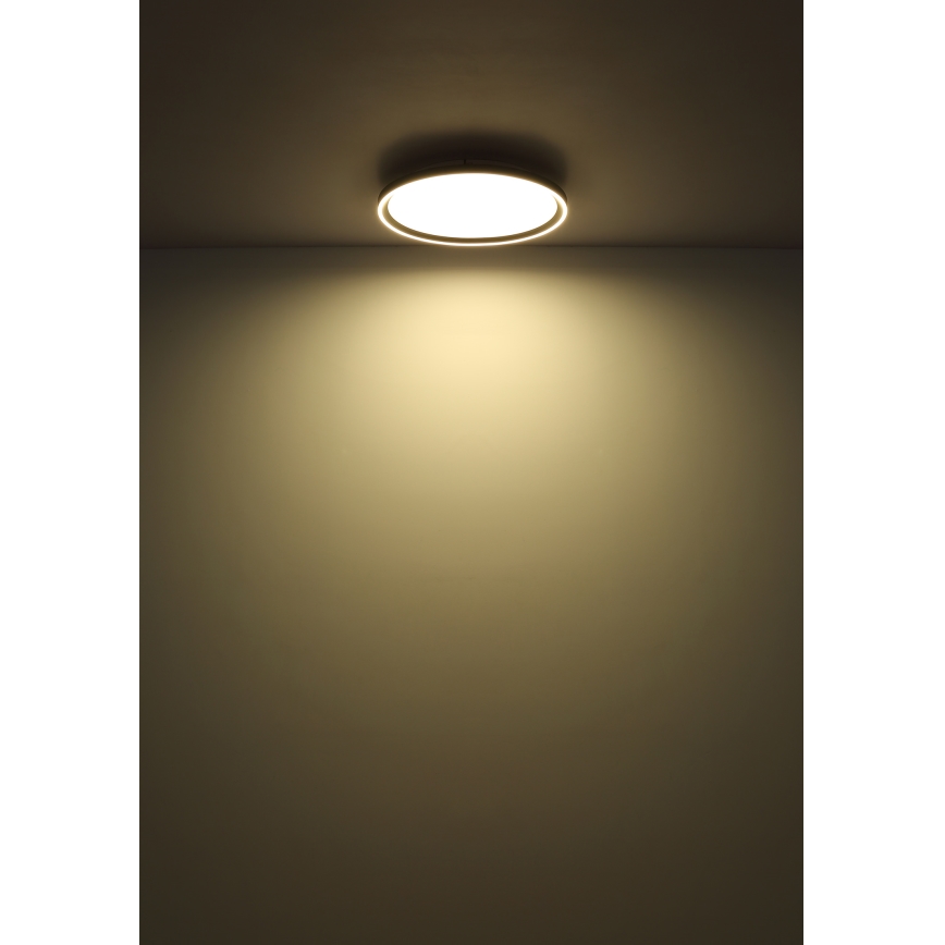 Globo - Dimmbare LED-Deckenleuchte LED/48W/230V 2700-6000K + Fernbedienung d 50 cm