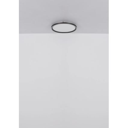 Globo - Dimmbare LED-Deckenleuchte LED/48W/230V 2700-6000K + Fernbedienung d 50 cm