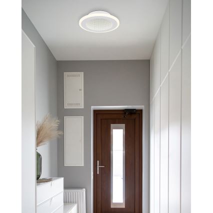 Globo - LED-Deckenleuchte LED/12W/230V 4000K