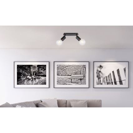 Globo - Spotlight 2xE27/60W/230V