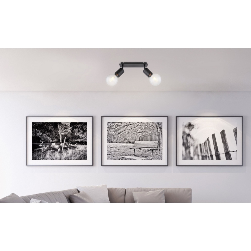 Globo - Spotlight 2xE27/60W/230V