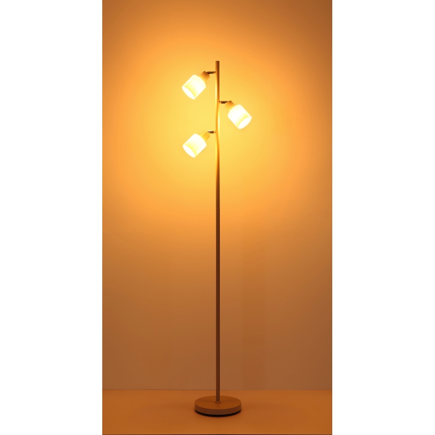 Globo - Stehlampe 3xE14/25W/230V