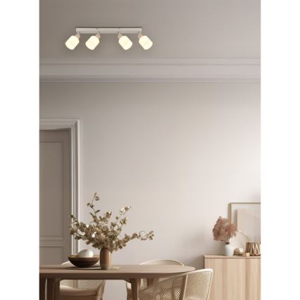 Globo - Deckenstrahler 4xE14/25W/230V