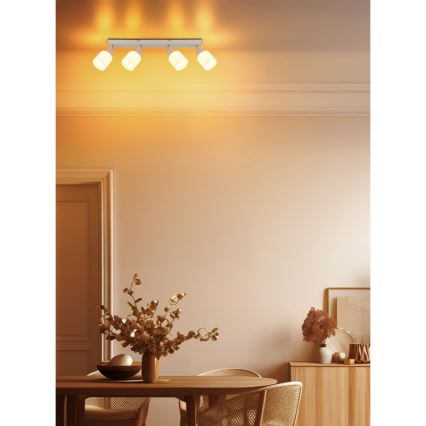 Globo - Deckenstrahler 4xE14/25W/230V