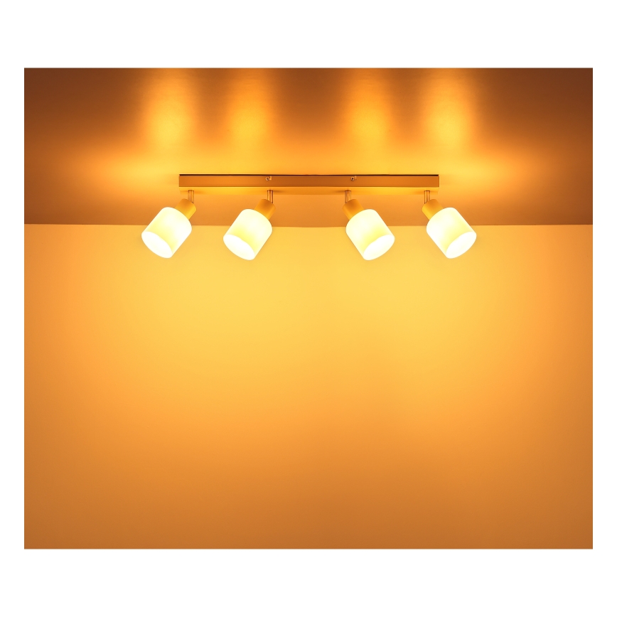 Globo - Deckenstrahler 4xE14/25W/230V