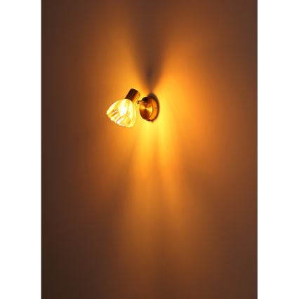 Globo - Wandstrahler 1xE14/40W/230V golden