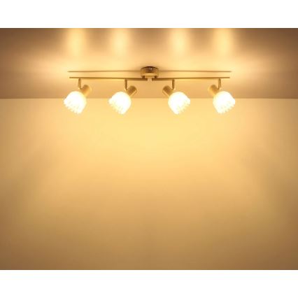 Globo - Spotleuchte 4xE14/40W/230V