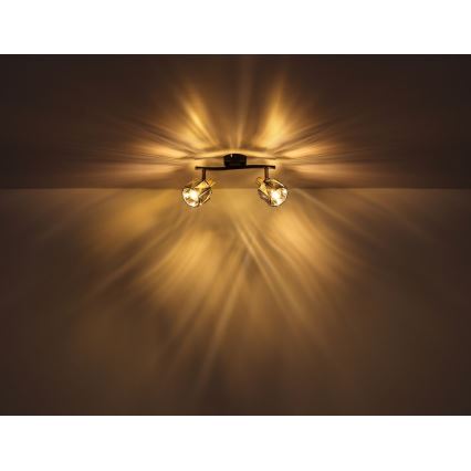 Globo - Strahler 2xE14/40W/230V