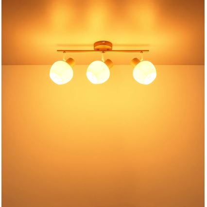 Globo - Spotleuchte 3xE27/40W/230V
