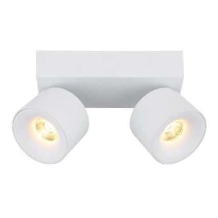 Globo - LED-Strahler 2xLED/6W/230V weiß