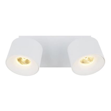 Globo - LED-Strahler 2xLED/6W/230V weiß