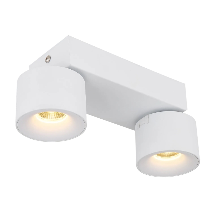 Globo - LED-Strahler 2xLED/6W/230V weiß